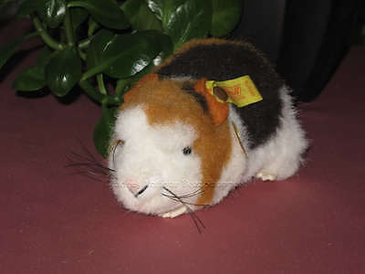 Steiff best sale guinea pig