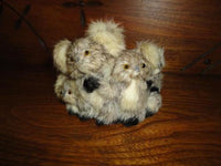 Vintage Real Fur Koala Family of 4 Glass Eyes 3.5 inch Leather bottom