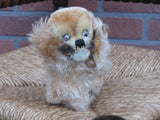 Steiff Pekingese Peky Mohair Dog 14 CM 1314,0 1953-58 No ID