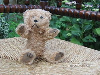 Venus Promotion London UK Sad Brown Baby Teddy Bear