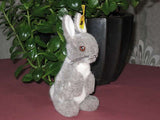 Steiff Manni Hase Rabbit 1503/15 Gray 1984 - 1987 IDS