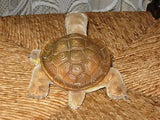 Steiff Slo Turtle Schildkroete  2314 Mohair Button Shield 14 cm 5.5 inch