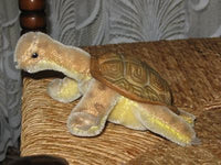 Steiff Slo Turtle Schildkroete  2314 Mohair Button Shield 14 cm 5.5 inch