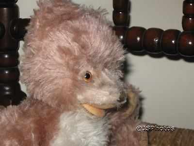 RARE - 1961 Petsy outlets - Steiff Bear