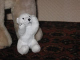 Vintage Dutch Holland Jointed Teddy & Polar Bear