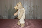 Antique Old August Müller Germany Teddy Bear 20s 30s White Mohair Humpback RARE