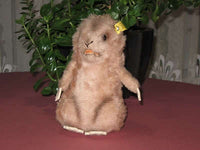 Steiff Piff Murmeltier Marmot 2200/17 Dralon 1972-1977