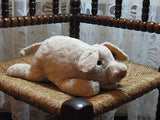 Steiff Cosy Pig 5415/28 So Soft With Button