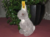 Steiff Manni Hase Rabbit 1503/15 Gray 1984 - 1987 IDS