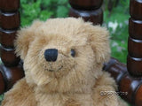 Venus Promotion Switzerland Brown Grizzly Bear Plush 7 inch