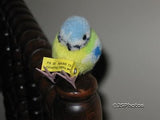 Steiff Original Woolen Bird 7114/08 Blue Tit 1968 710