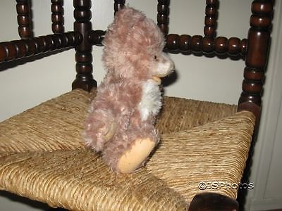 RARE authentic - 1961 Petsy - Steiff Bear