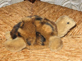 Steiff SloTurtle All ids 27 cm 068300 & Small Turtle Slo 068416 16 cm No id