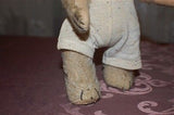 Antique Old August Müller Germany Teddy Bear 20s 30s White Mohair Humpback RARE