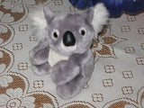 Promozioni ITALY Grey KOALA Bear Sitting