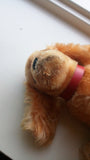 Steiff Germany Cosy Cocker Spaniel Mohair Dog Standing 4273/19 Button Tag