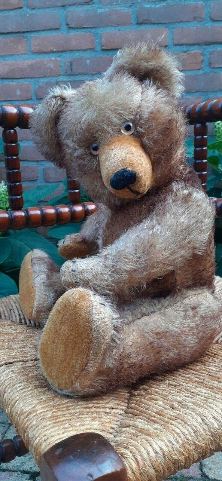 A German teddy bear 1910-1920s, with golden yellow mohair, closely